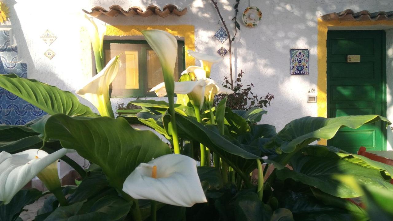 Zagara Di Sicilia Villa Marsala Luaran gambar